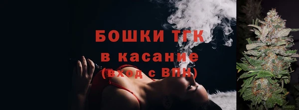 ПСИЛОЦИБИНОВЫЕ ГРИБЫ Баксан