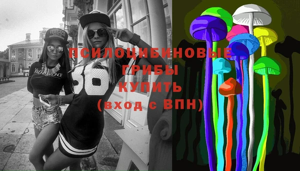 ПСИЛОЦИБИНОВЫЕ ГРИБЫ Баксан