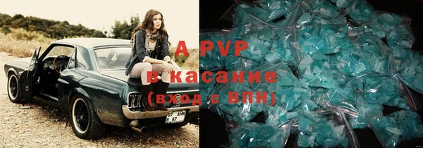 ПСИЛОЦИБИНОВЫЕ ГРИБЫ Баксан