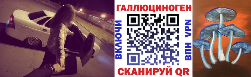 Галлюциногенные грибы Psilocybine cubensis  как найти наркотики  Заозёрск 